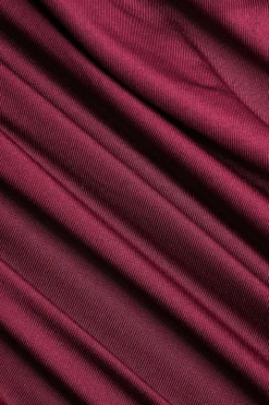 MICAS Long Sleeve Tops|Long Sleeves Tops-Asymmetrical Ruched Long-Sleeve Top BURGUNDY