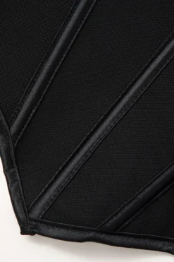 MICAS Tube Tops|Corset & Bustier Tops-V-Hem Tie Back Corset Corset Top